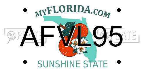 AFVL95 Florida License Plate