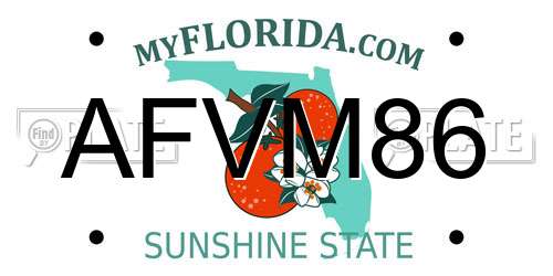 AFVM86 Florida License Plate