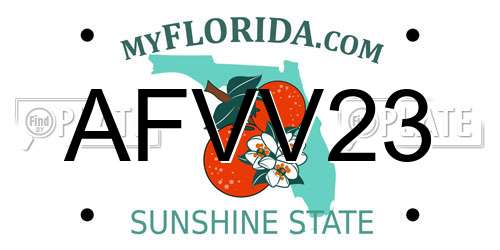 AFVV23 Florida License Plate