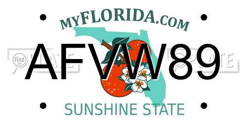 AFVW89 Florida License Plate