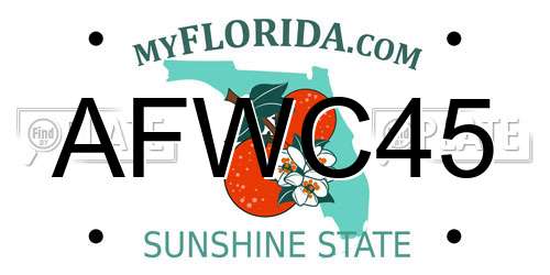 AFWC45 Florida License Plate
