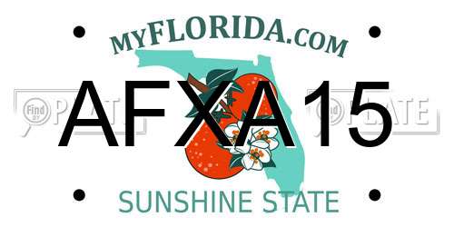 AFXA15 Florida License Plate
