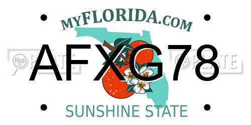 AFXG78 Florida License Plate