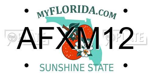 AFXM12 Florida License Plate