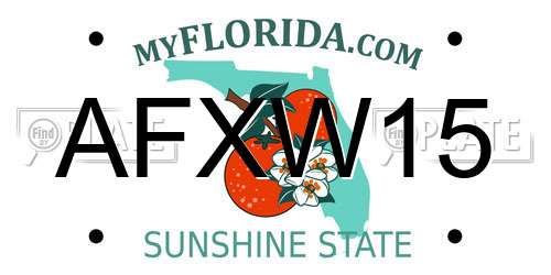 AFXW15 Florida License Plate