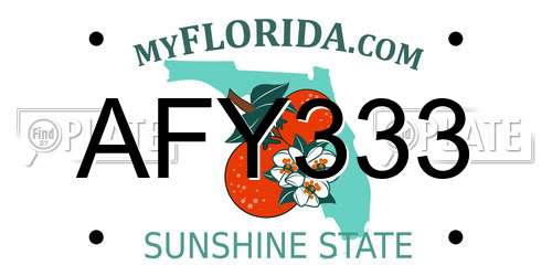 AFY333 Florida License Plate