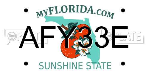 AFY33E Florida License Plate
