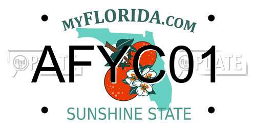 AFYC01 Florida License Plate