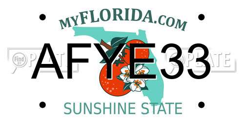 AFYE33 Florida License Plate