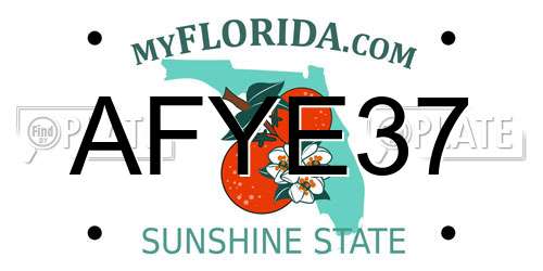 AFYE37 Florida License Plate