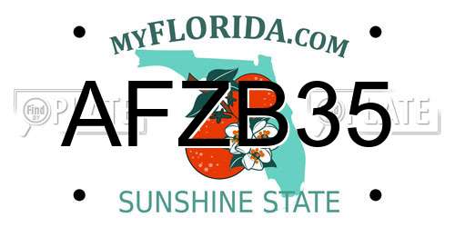 AFZB35 Florida License Plate