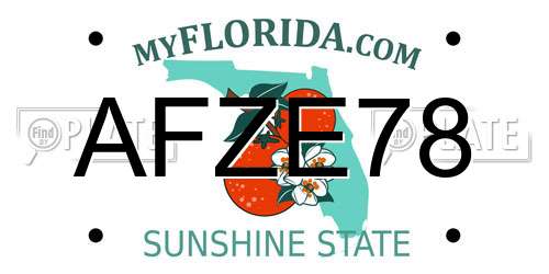 AFZE78 Florida License Plate