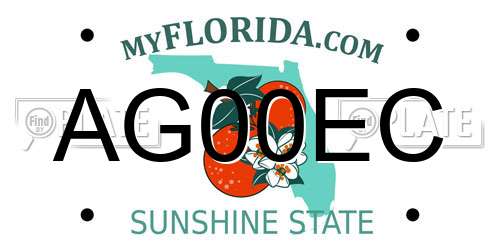 AG00EC Florida License Plate