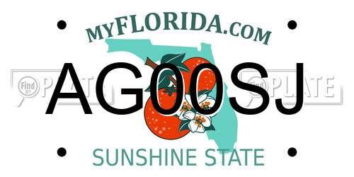 AG00SJ Florida License Plate