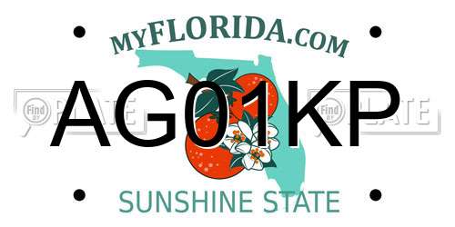 AG01KP Florida License Plate