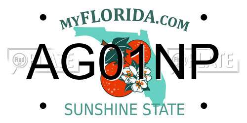 AG01NP Florida License Plate