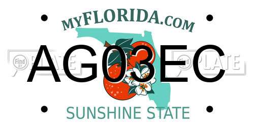 AG03EC Florida License Plate