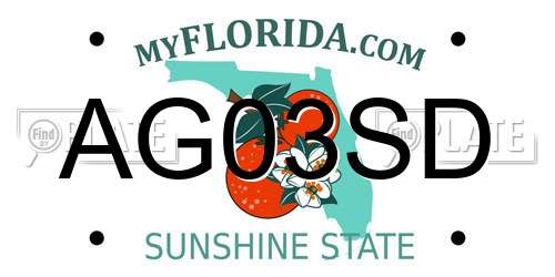 AG03SD Florida License Plate
