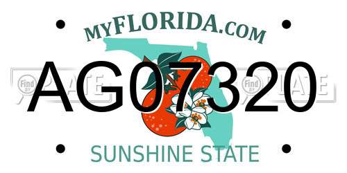 AG07320 Florida License Plate