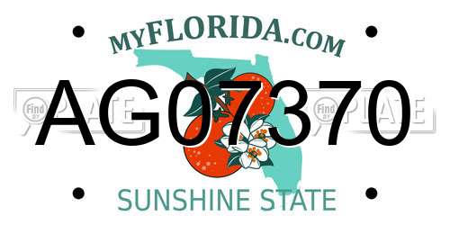 AG07370 Florida License Plate