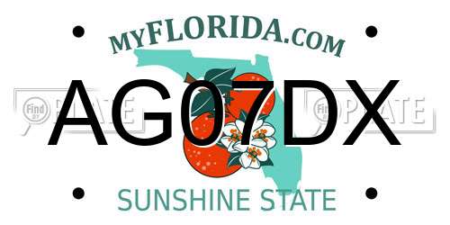 AG07DX Florida License Plate