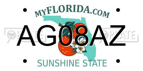 AG08AZ Florida License Plate