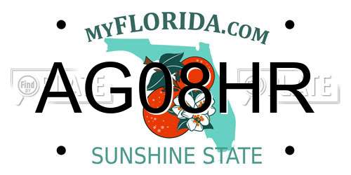 AG08HR Florida License Plate