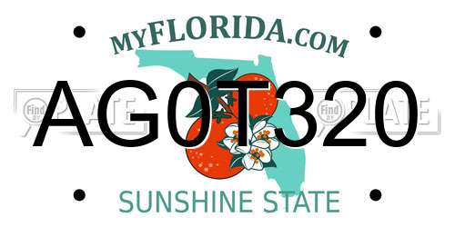 AG0T320 Florida License Plate