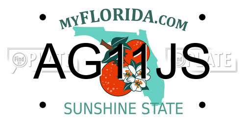 AG11JS Florida License Plate