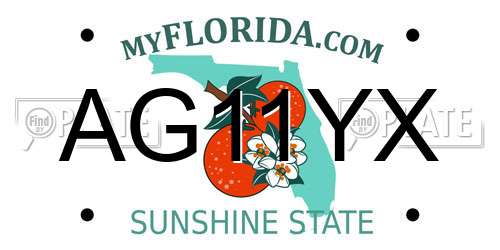 AG11YX Florida License Plate
