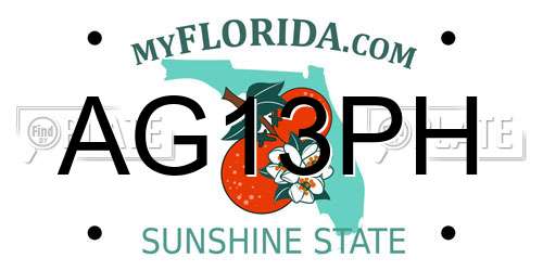 AG13PH Florida License Plate