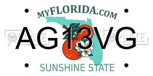 AG13VG Florida License Plate