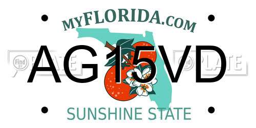 AG15VD Florida License Plate