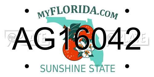 AG16042 Florida License Plate