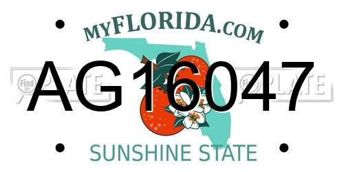 AG16047 Florida License Plate