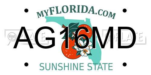 AG16MD Florida License Plate