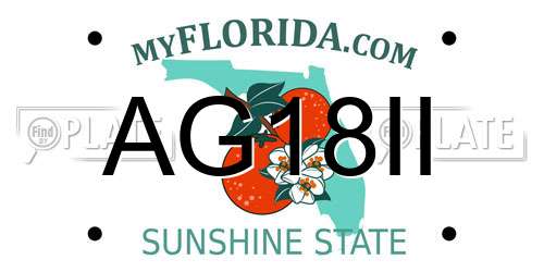 AG18II Florida License Plate