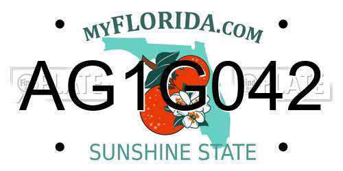 AG1G042 Florida License Plate