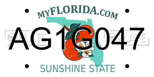 AG1G047 Florida License Plate