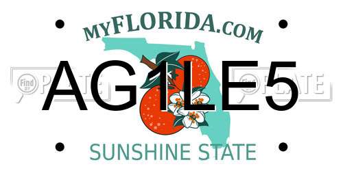 AG1LE5 Florida License Plate