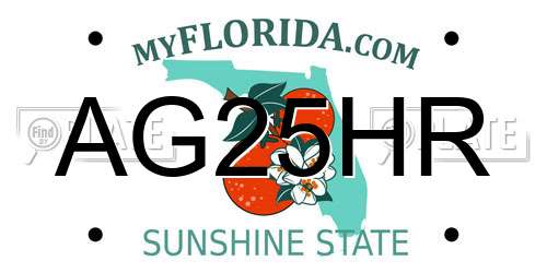 AG25HR Florida License Plate