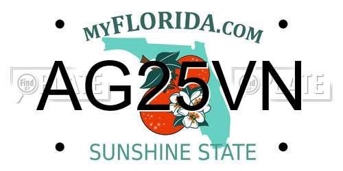 AG25VN Florida License Plate