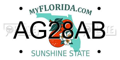 AG28AB Florida License Plate