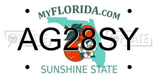 AG28SY Florida License Plate