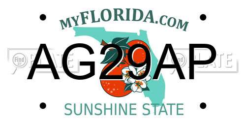 AG29AP Florida License Plate