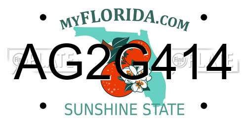 AG2G414 Florida License Plate