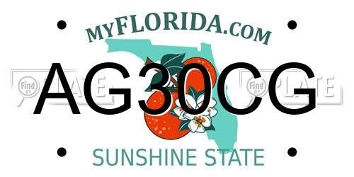 AG30CG Florida License Plate