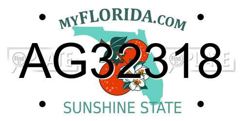 AG32318 Florida License Plate