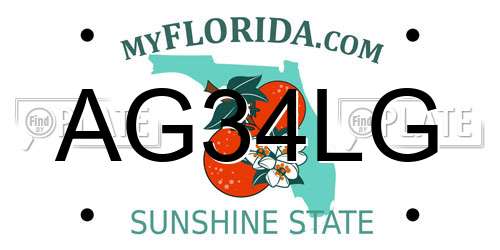 AG34LG Florida License Plate