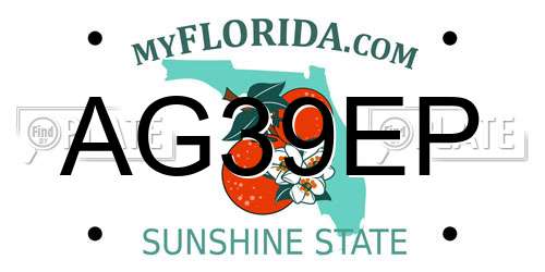 AG39EP Florida License Plate